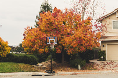 What Type of Basketball Hoop Should You Get For Your Home